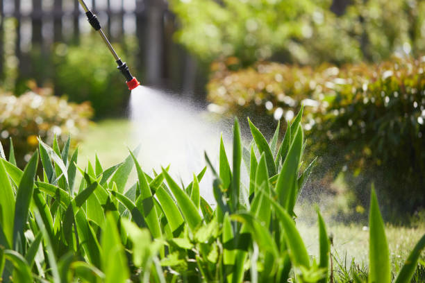 24/7 Emergency Ant Control experts in Trion, GA